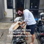 Cargo Murah Kirim Motor Bandung Sehari sampai